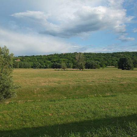 Pensjonat Country House Baranjski Tulipan Draž Zewnętrze zdjęcie