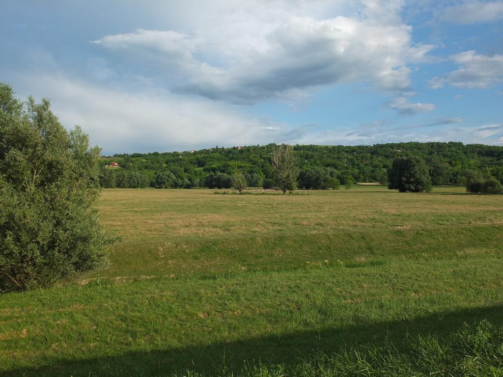 Pensjonat Country House Baranjski Tulipan Draž Zewnętrze zdjęcie