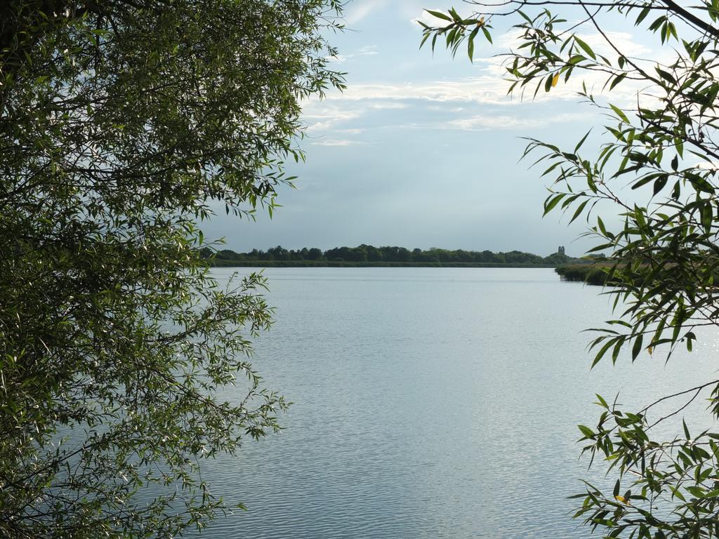 Pensjonat Country House Baranjski Tulipan Draž Zewnętrze zdjęcie