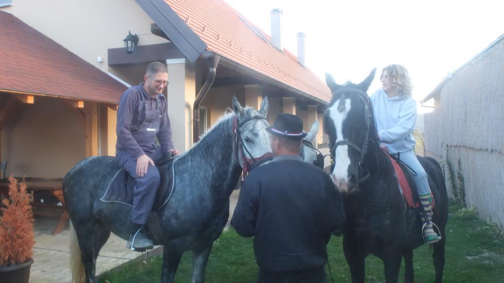 Pensjonat Country House Baranjski Tulipan Draž Zewnętrze zdjęcie