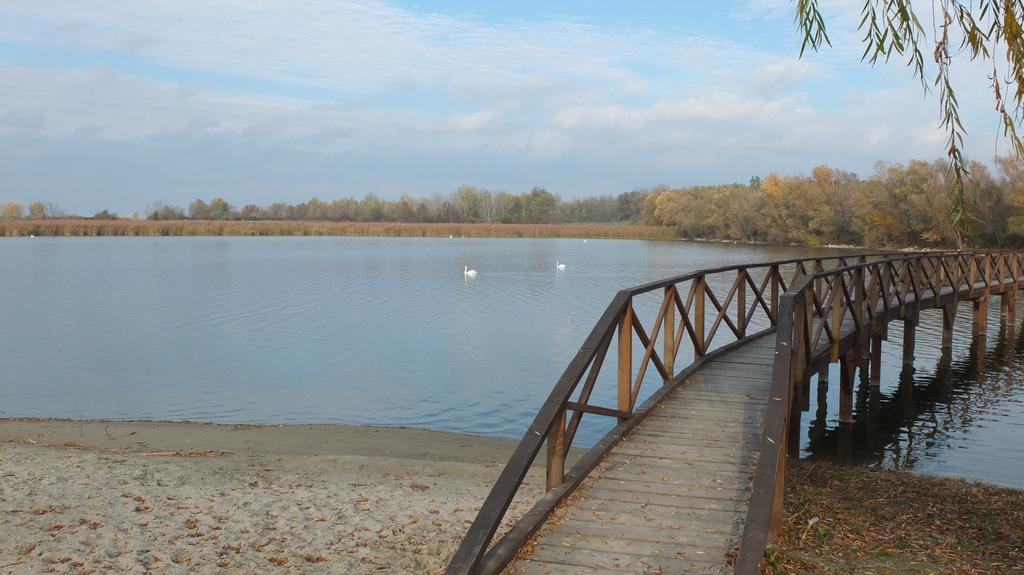 Pensjonat Country House Baranjski Tulipan Draž Zewnętrze zdjęcie